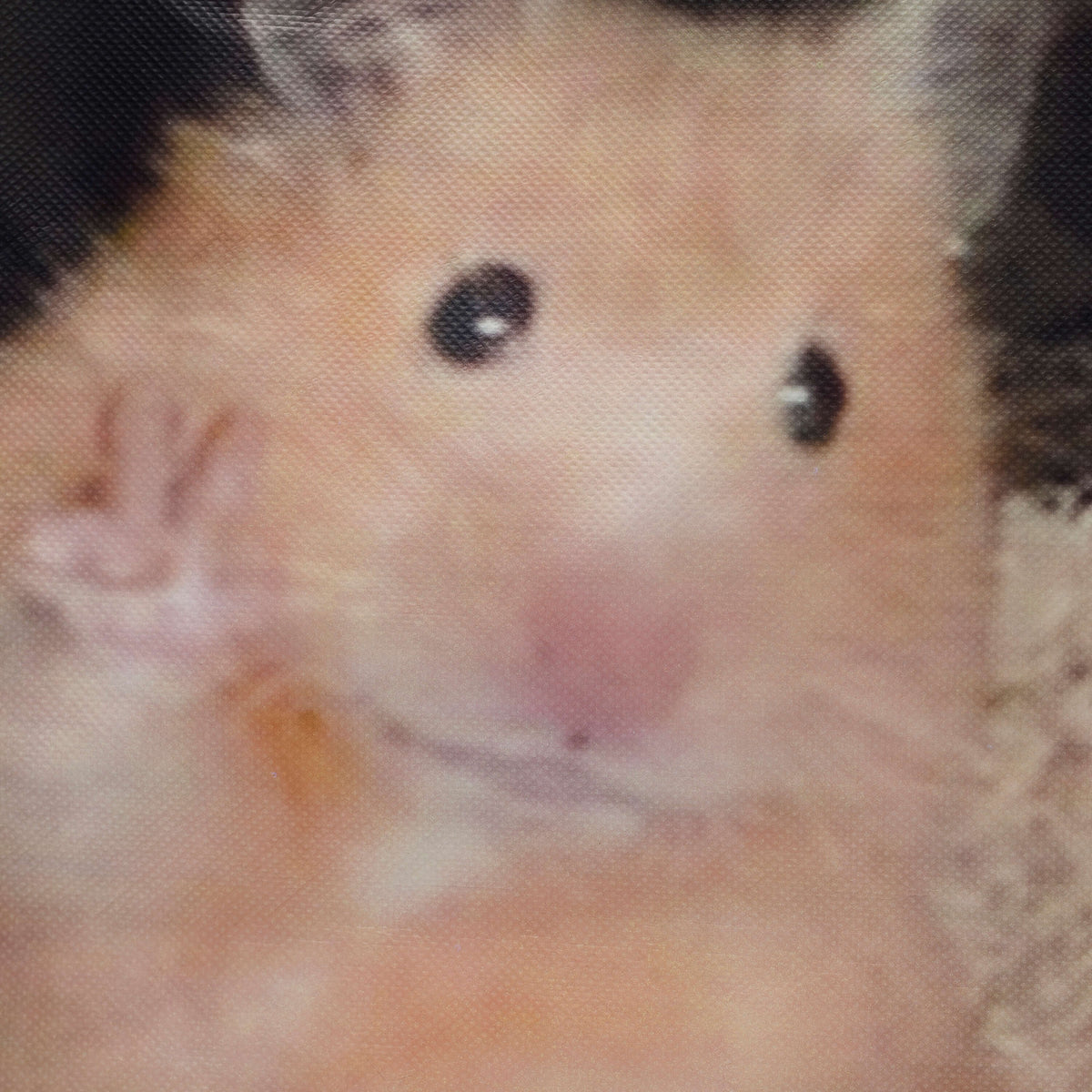 KOI Footwear - KOI Hamster Tote Bag