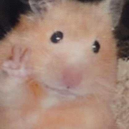 KOI Footwear - KOI Hamster Tote Bag